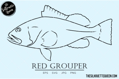 Red Grouper Hand sketched, hand drawn vector clipart