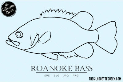 Roanoke Bass Hand sketched, hand drawn vector clipart