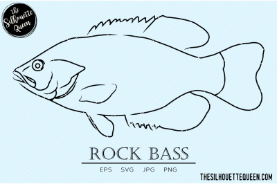 Rock Bass Hand sketched, hand drawn vector clipart