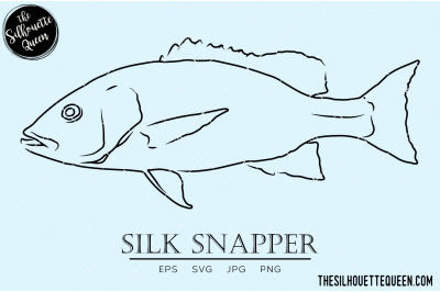 Silk Snapper Hand sketched, hand drawn vector clipart