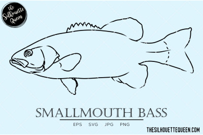 Smallmouth Bass Hand sketched&2C; hand drawn vector clipart