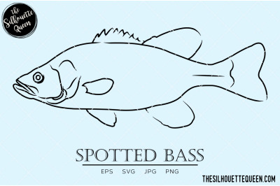 Spotted Bass Hand sketched&2C; hand drawn vector clipart