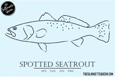 Spotted Seatrout Hand sketched, hand drawn vector clipart