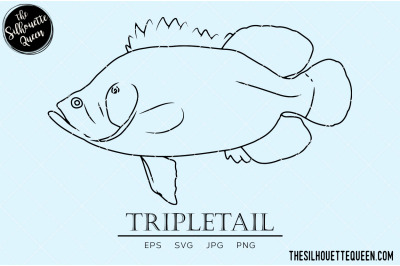 Tripletail Hand sketched, hand drawn vector clipart