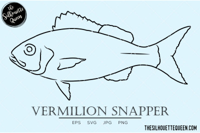 Vermilion Snapper Hand sketched&2C; hand drawn vector clipart