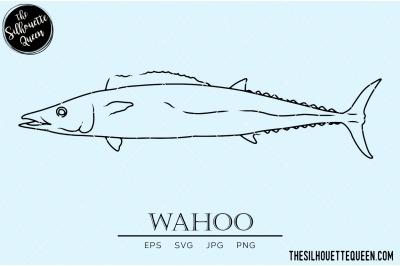 Wahoo Hand sketched&2C; hand drawn vector clipart