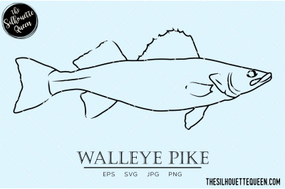 Walleye Pike Hand sketched, hand drawn vector clipart