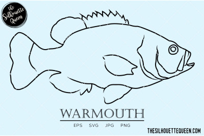 Warmouth Hand sketched, hand drawn vector clipart