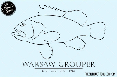 Warsaw grouper Hand sketched, hand drawn vector clipart