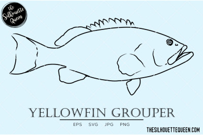 Yellowfin Grouper Hand sketched, hand drawn vector clipart