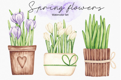 Watercolor Set Spring Flowers