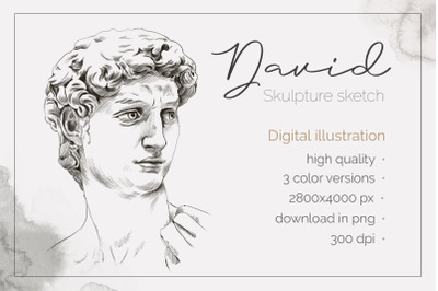 David Michelangelo Skulpture. PNG pencil skestch