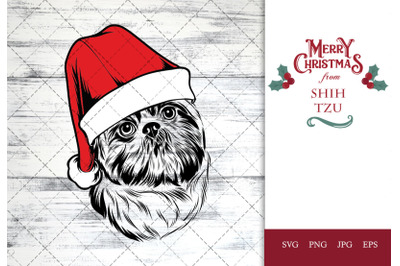 Shih Tzu Dog in Santa Hat for Christmas