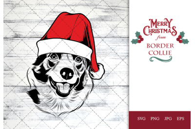 Border Collie Dog in Santa Hat for Christmas