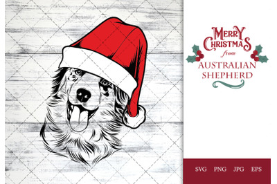 Australian Shepherd Dog in Santa Hat for Christmas