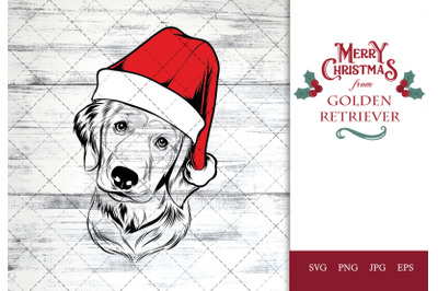 Golden Retriever Dog in Santa Hat for Christmas