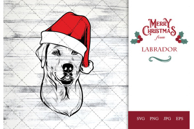 Labrador Dog in Santa Hat for Christmas