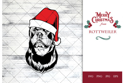 Rottweiler Dog in Santa Hat for Christmas
