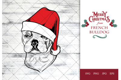 French Bulldog Dog in Santa Hat for Christmas