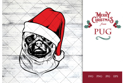 Pug Dog in Santa Hat for Christmas