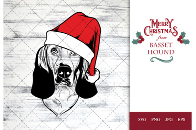 Basset Hound Dog in Santa Hat for Christmas