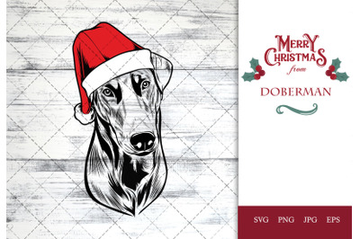 Doberman Dog in Santa Hat for Christmas