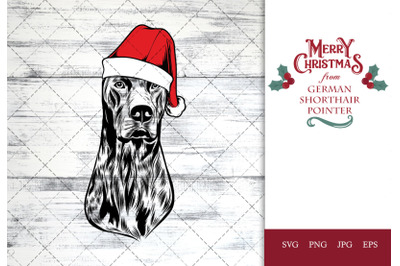 German SHorthair Pointer Dog in Santa Hat for Christmas