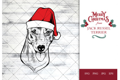 Jack Russel Terrier Dog in Santa Hat for Christmas