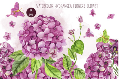 Watercolor Hydrangea Flowers Clipart. Pink hydrangea