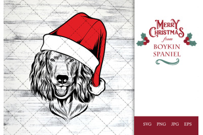 Boykin Spaniel Dog in Santa Hat for Christmas