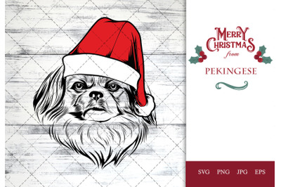 pekingese Dog in Santa Hat for Christmas