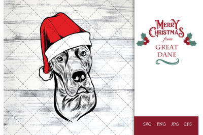 Great Dane Dog in Santa Hat for Christmas