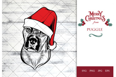 Puggle Dog in Santa Hat for Christmas