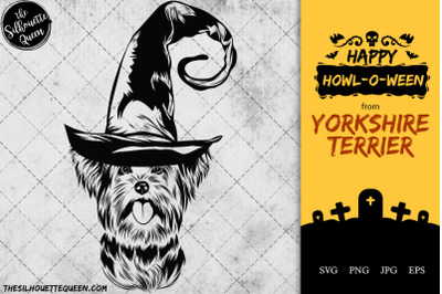 Yorkshire Terrier Dog in Witch Hat for Halloween