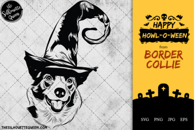 Border Collie Dog in Witch Hat for Halloween