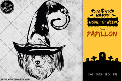 Papillon Dog in Witch Hat for Halloween