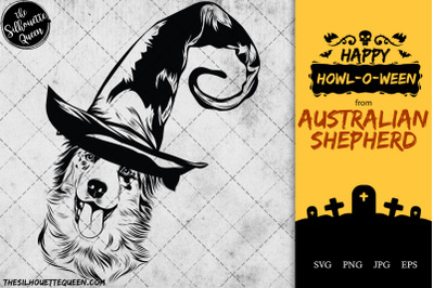 Australian Shepherd Dog in Witch Hat for Halloween