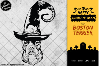 Boston Terrier Dog in Witch Hat for Halloween