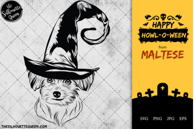 Maltese Dog in Witch Hat for Halloween