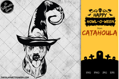 Catahoula Dog in Witch Hat for Halloween