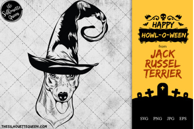 Jack Russel Terrier Dog in Witch Hat for Halloween