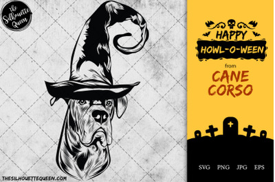 cane corso Dog in Witch Hat for Halloween