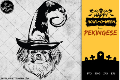 pekingese Dog in Witch Hat for Halloween