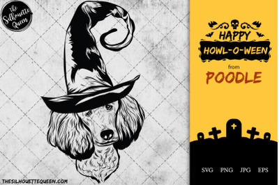 Poodle Dog in Witch Hat for Halloween