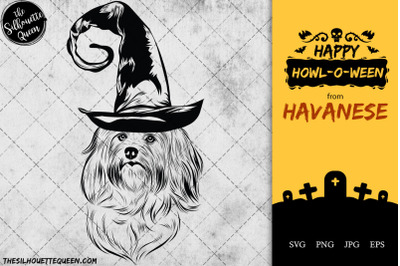 Havanese Dog in Witch Hat for Halloween