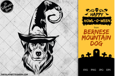 Bernese Mountain Dog Dog in Witch Hat for Halloween