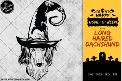 Long Haired Dachshund Dog in Witch Hat for Halloween