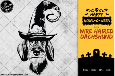 Wire Haired Dachshund Dog in Witch Hat for Halloween