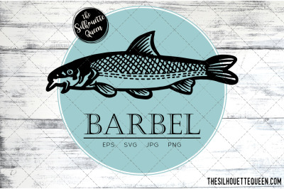 Hand drawn, Sketched Barbel Fish Vector