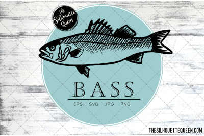 Hand drawn&2C; Sketched Bass Fish Vector